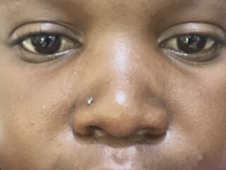 IvonWonders