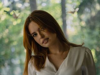 LaurBench